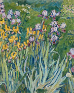 Irises. 1911
